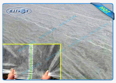 D'agriculture du polypropylène 22Gsm textile tissé perméable à l'eau non