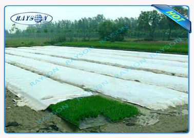 Tissu non tissé Anti-UV de paysage d'agriculture de pp Spunbonded qui respecte l'environnement