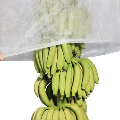 sacs non-tissés UV non tissés de banane de couverture de l'agriculture 17gram coupant 100pcs par sachet en plastique