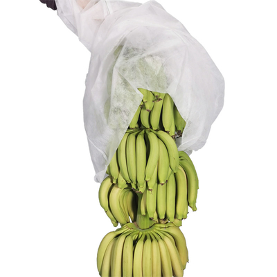 sacs non-tissés UV non tissés de banane de couverture de l'agriculture 17gram coupant 100pcs par sachet en plastique
