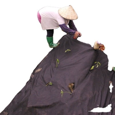 De pp Spunbond d'agriculture textile tissé non pour le festin UV de couverture de mauvaise herbe