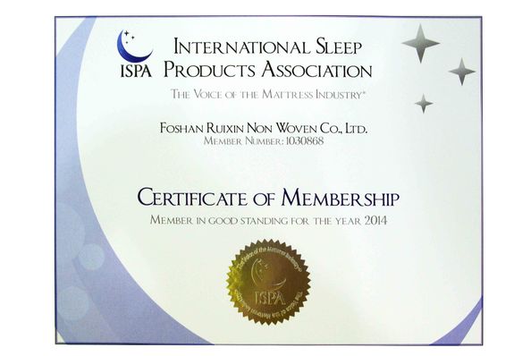 Chine Foshan Rayson Non Woven Co.,Ltd certifications