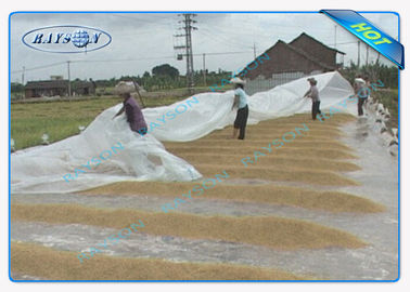 Couverture non tissée large superbe durable d'agriculture pour la plantation de ginseng
