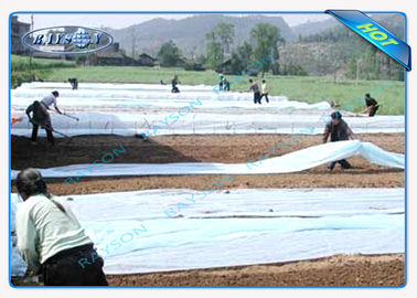 Couverture non tissée large superbe durable d'agriculture pour la plantation de ginseng