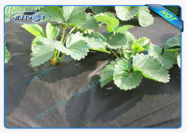 Couverture non tissée résistante biodégradable d'Agricultrual dans la couleur noire 1.5OZ 40gsm à 100gsm