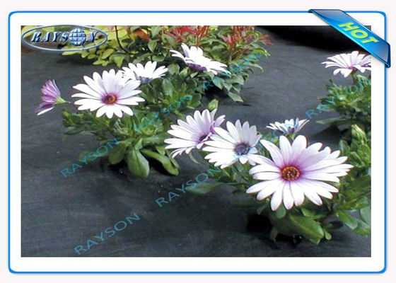 La protection UV de 3% 10 ans garantissent la couverture non tissée agricole Spunbond dans la couleur noire