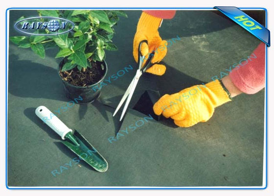 La protection UV de 3% 10 ans garantissent la couverture non tissée agricole Spunbond dans la couleur noire