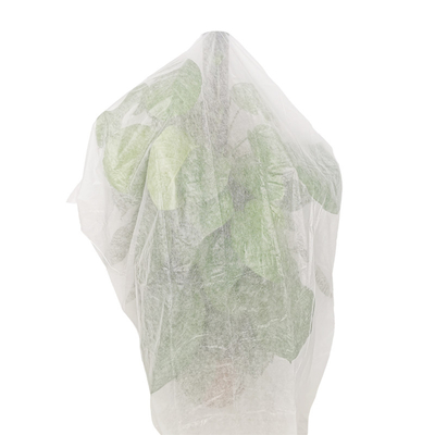 L'usine écologique d'agriculture couvrent le sac non tissé biodégradable de banane de pp