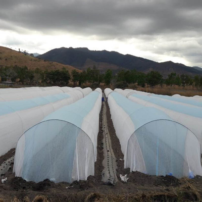 Couverture respirable de rangée de serre chaude de Tnt d'agriculture pour protéger les usines extérieures végétales