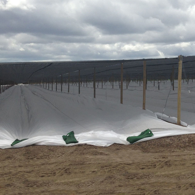 De 100% de polypropylène de Spunbond textile tissé frais non pour le poids léger d'agriculture