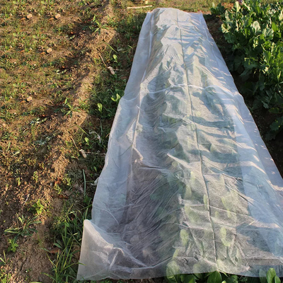 Paillage du tissu non-tissé d'agriculture de film pp Spunbond pour des tomates de fleurs