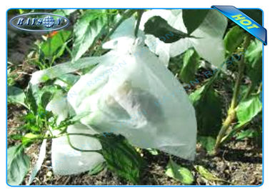 L'usine non-tissée d'Agiculture élèvent des sacs pour la croissance de fruit et la protection, pomme de terre élèvent des sacs