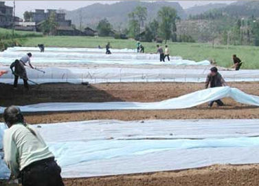 Tissu non tissé transparent de paysage de Spunbond pour la couverture d'usine d'agriculture
