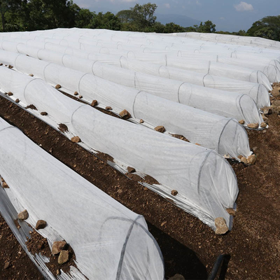 Tissu non-tissé agricole non tissé du tapis pp Spunbond de lutte contre les mauvaises herbes avec 3% UV
